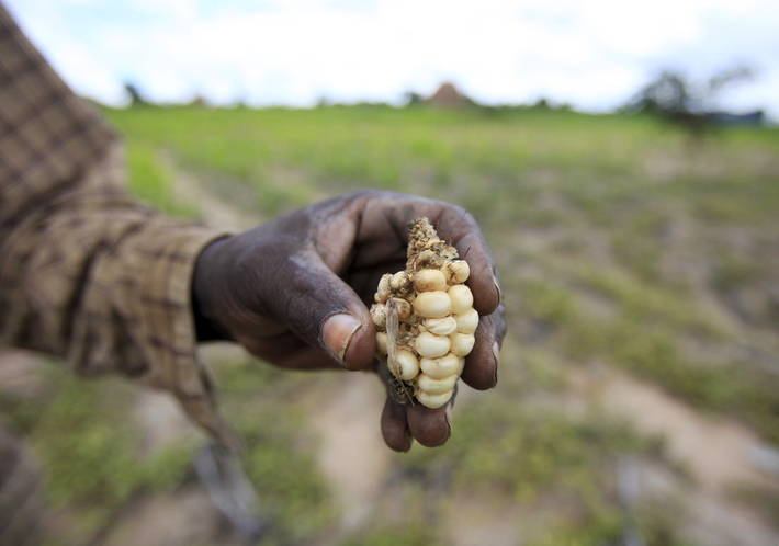 lutte contre la famine